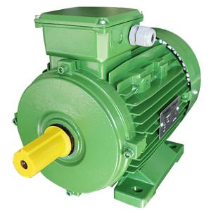 Quality Squirrel Cage 3 Phase 4 Pole Induction Ac Motor 0.75kw For Woodworking Machinery wholesale