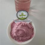 cherry juice powder buy best organic tart cherry powderuses health benefits