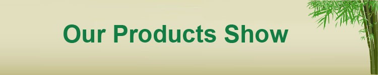 Modern Design Flooring Accessories Adjustable Plastic Pedestal for Paver Support