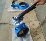 DIN3354 PN16 cast iron butterfly valve made in China