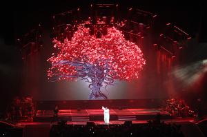 Quality Transparent Holographic Projection Screen Polyamide Material 3D Hologram Show wholesale
