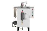 Stainless Steel Electric Steam Generator Boiler ＜30L Rated Water Volumn