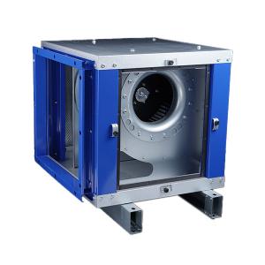 Quality Premium Industrial Ventilation Solution High Capacity Cabinet Style Centrifugal Kitchen Extractor Fan wholesale