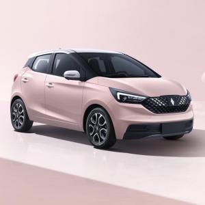 Quality Comfortable Driving Experience Electric Car EV3 Mileage 320km High speed Electric Car wholesale