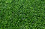 SGS Approved Environmental Artificial Grass Carpet For Landscape Garden Deco