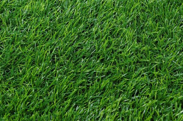 SGS Approved Environmental Artificial Grass Carpet For Landscape Garden Deco