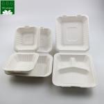 Custom Biodegradable Sugarcane Bagasse Pulp Fiber Fast Food Packing Paper Box