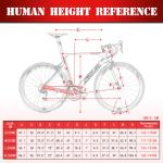 Sava Full Carbon Road Bike With Shiamno ULTEGRA R8020 Groupset