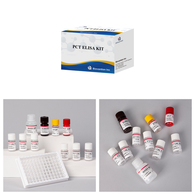 Detection Kit for PCT for human detect reagent for human Serum Plasma