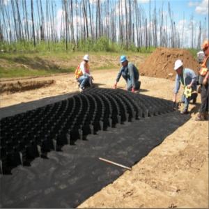 Quality Driveway Geocell HDPE Geocell and Slope Protection for Road Reinforce 50mm Height Lower wholesale