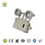 90min Flameproof Emergency Light Twin Spot Hazardous Locations