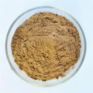 Quality 100% pure natural organic Microcos paniculata extract for capsules wholesale