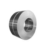 ASTM AISI 316L 304 309s Stainless Steel Strips Cold Rolled