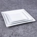 Scandinavian Square Porcelain Plates 24.75cm