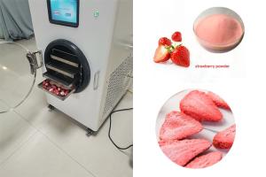 Quality Stainless Steel Home Mini Freeze Dryer LCD Touch Screen wholesale