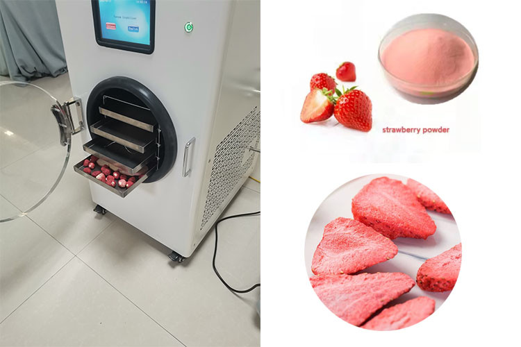 Medium Food Home Freeze Dryer Electric Heating 4-10Kg