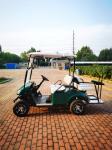 New Energy Lithium Battery Lead-acid Battery 4-seater Golf Cart Classic Dark