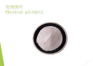 Quality Feed Additive Poultry Acidifiers Grade 1 Light Yellow Powder wholesale