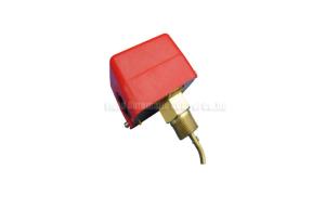 Quality Brass Paddle Flow Switch , Air Pressure Switches wholesale