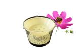 Plastic Wasp Trap Bee Hive Equipment Hornet Bee Trap Catcher Wasp Trap