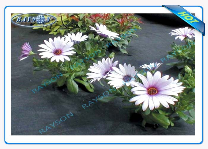 Agrotextile PP Spunbond Agriculture Non Woven Cover With UV Protection
