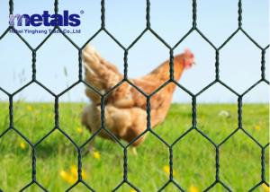 Quality PVC Coated Chicken Hexagonal Wire Mesh Netting Green 1&quot; Hole OEM wholesale
