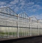 Wholesale China Supplier Large Multi Span Intelligent Horticulture Commercial