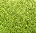 Anti Pet Friendly Fake Lawn / Dog Friendly Turf