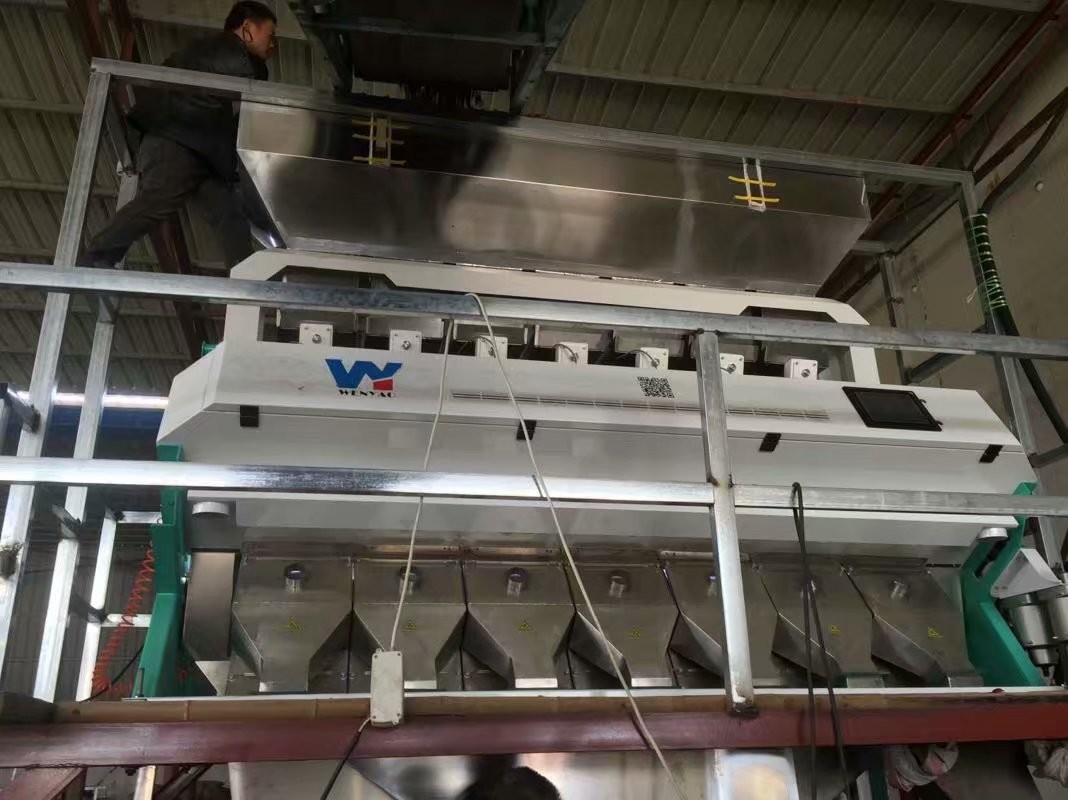 2 Years Warranty High Quality CCD Fully Automatic Coffee Beans Color Sorter Machine
