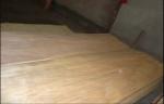 Nature Rotary Cut Birch Veneer Sheet A grade , Natural Wood Veneer