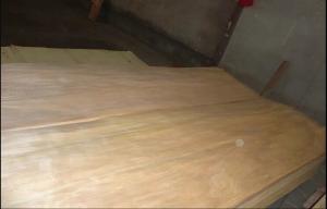 Quality Nature Rotary Cut Birch Veneer Sheet A grade , Natural Wood Veneer wholesale