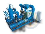 IACS Approved IMO MEPC.279(70) Standard 150m3/h Marine Ballast Water Management
