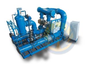 Quality IACS Approved IMO MEPC.279(70) Standard 3000m3/h Marine Ballast Water Management System BWS wholesale