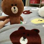 Teddy Bear Cartoon Print Blanket / Animal Print Baby Flannel Blanket Eco
