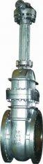 Stainless Steel Gate Valve API600