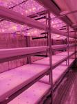 OEM 110V Solar Powered Hydroponic Grow Containers For Brassicas