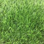 Good Drainage Everlast Artificial Grass Lawn Suitable For Summer Heat Winter