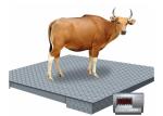 1.5*1.5m 3 Ton Industrial Floor Weighing Scales