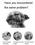 USB Charging Pet Grooming Tool 5W Dog Hair Removal Shaver