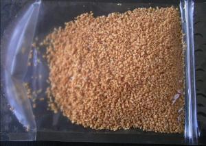 Quality 4*4mm Delicious Dark Brown Crispy Roasted Garlic wholesale