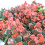 Acoustic Flower Artificial Plants Wall Backdrop 42 Cm For Outdoor Decoration