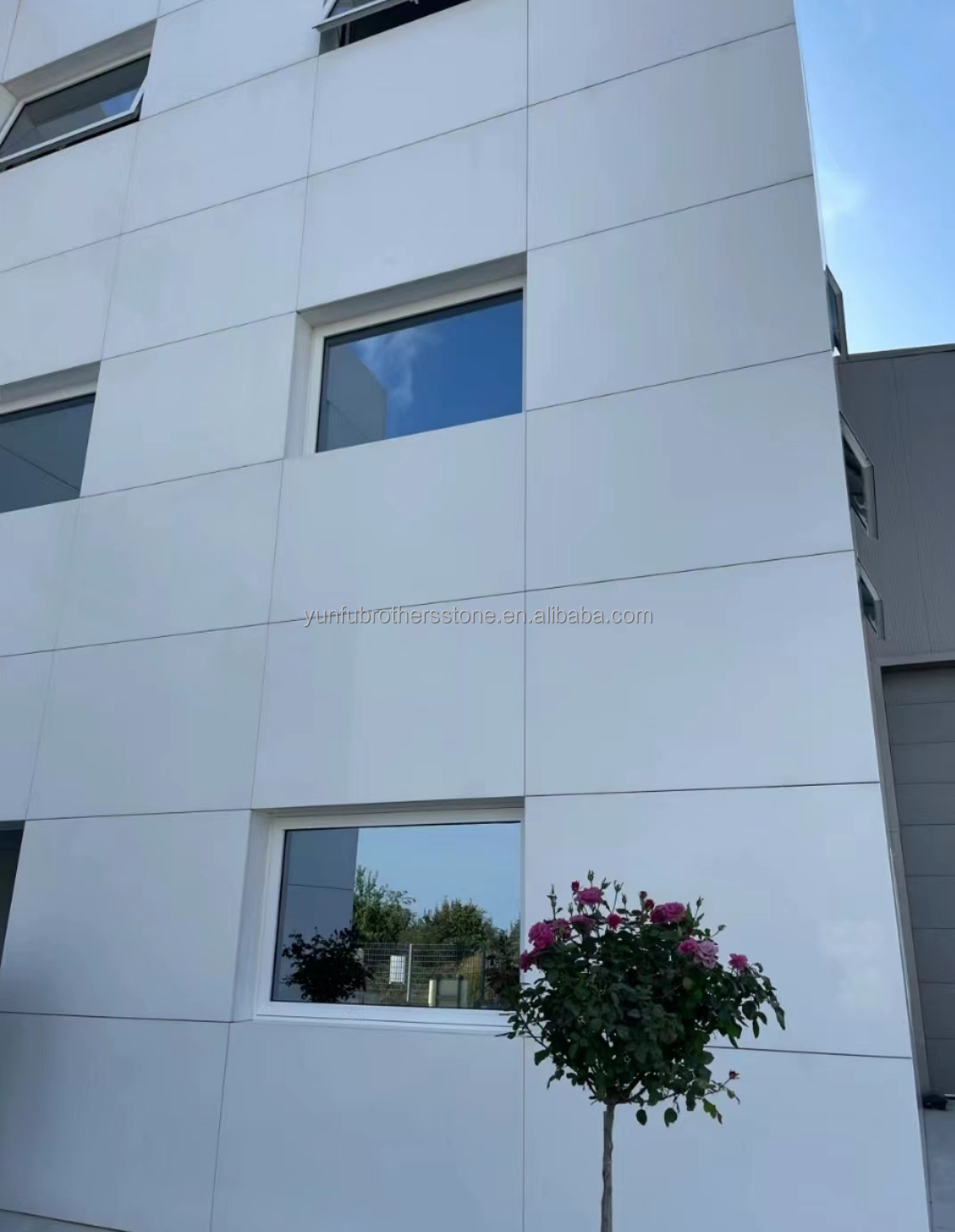 Thassos Marble Big Slab Modern Natural Stone for Hotel Bathroom and Outdoor Wall Tile
