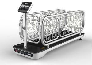 Quality BSCI Stainless Steel Walking Jogger Dog Exercise Treadmill wholesale