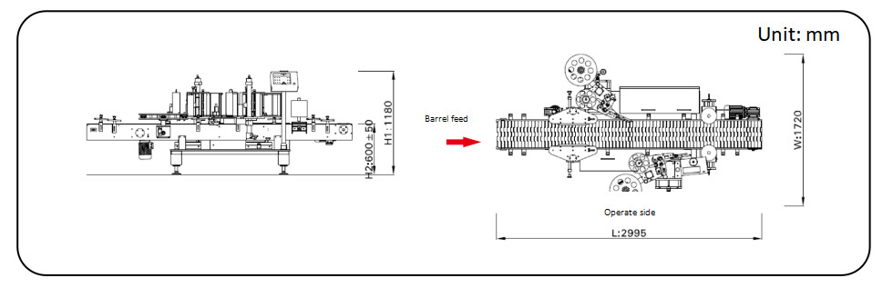 Square And Flat Bottles TN-200LDS Double-sided Self-Adhesive Labeling Machine