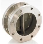 dual plate check valves