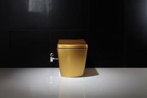 Quality Golden Intelligent Auto Wash Toilet Personal Hygiene Cleaning smart toilet wholesale