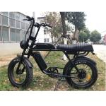 48v 500w E Bike 2 Seat Fast Speed Electric Snow Beach Bicycle with Customized