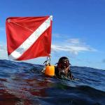 Polyester Boat Diving Flag Pantone Color Silk / Digital / Sublimation Printing
