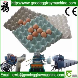 Quality Egg Tray Equipment wholesale