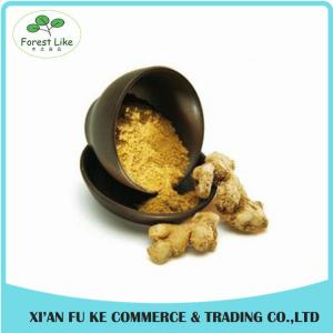 Quality 100% Natural Yellow Ginger Extract Powder 10 :1 wholesale